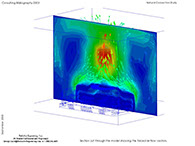 Wast Processing Vessel CFdesign analysis